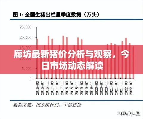 廊坊最新豬價(jià)分析與觀察，今日市場動(dòng)態(tài)解讀