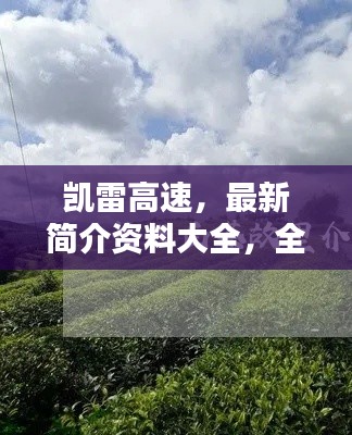 凱雷高速，最新簡介資料大全，全面了解這條重要通道！