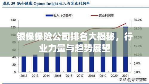 銀保保險公司排名大揭秘，行業(yè)力量與趨勢展望