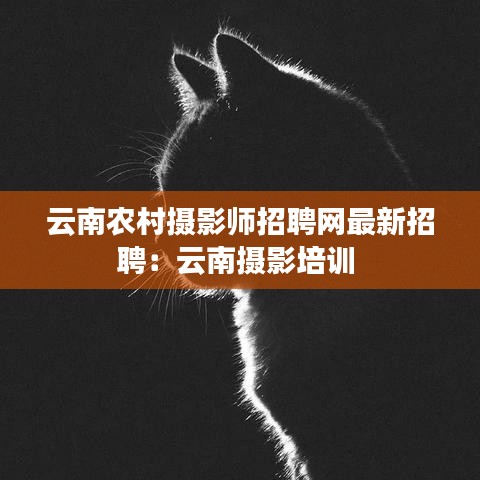 云南農(nóng)村攝影師招聘網(wǎng)最新招聘：云南攝影培訓 
