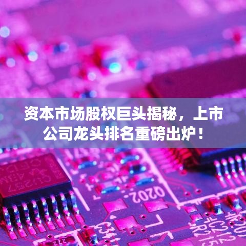 資本市場股權(quán)巨頭揭秘，上市公司龍頭排名重磅出爐！