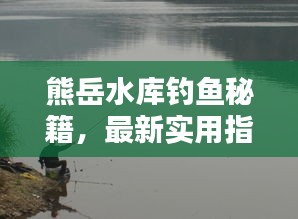 熊岳水庫釣魚秘籍，最新實用指南