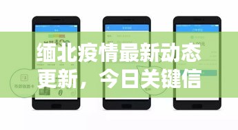 緬北疫情最新動態(tài)更新，今日關(guān)鍵信息一網(wǎng)打盡