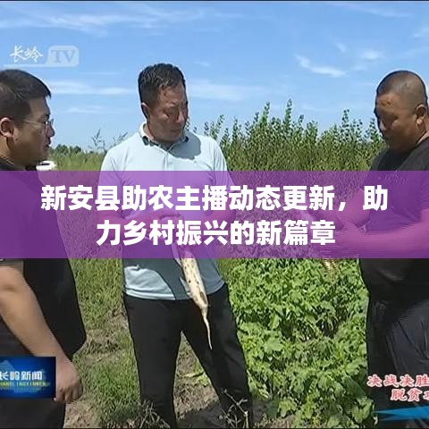新安縣助農(nóng)主播動態(tài)更新，助力鄉(xiāng)村振興的新篇章