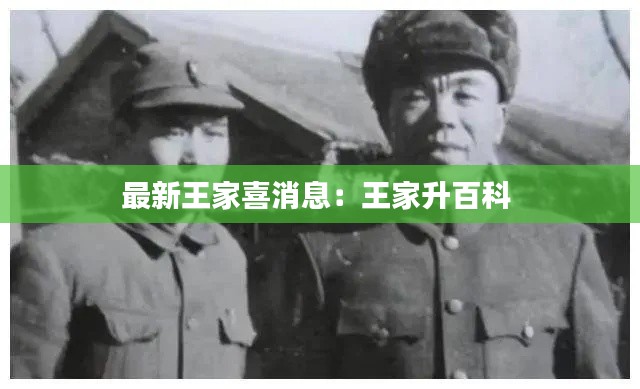 最新王家喜消息：王家升百科 
