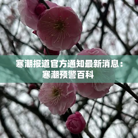 寒潮報道官方通知最新消息：寒潮預(yù)警百科 
