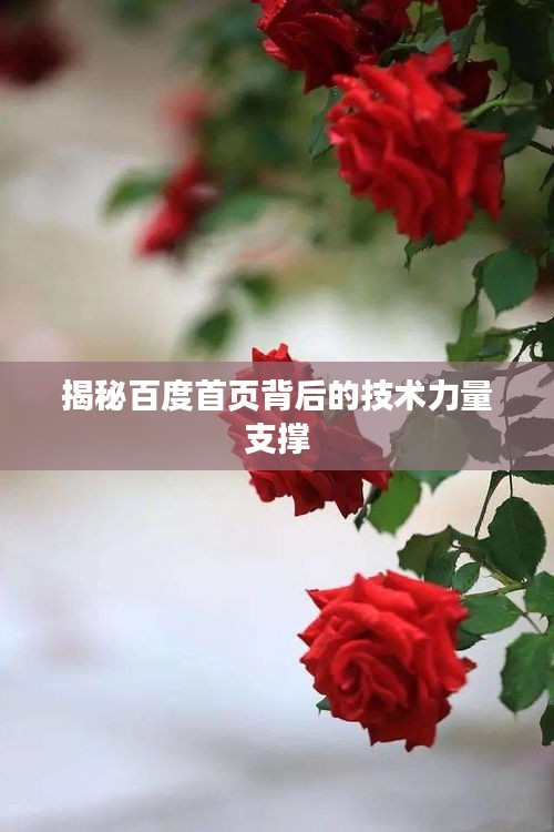 揭秘百度首頁背后的技術(shù)力量支撐