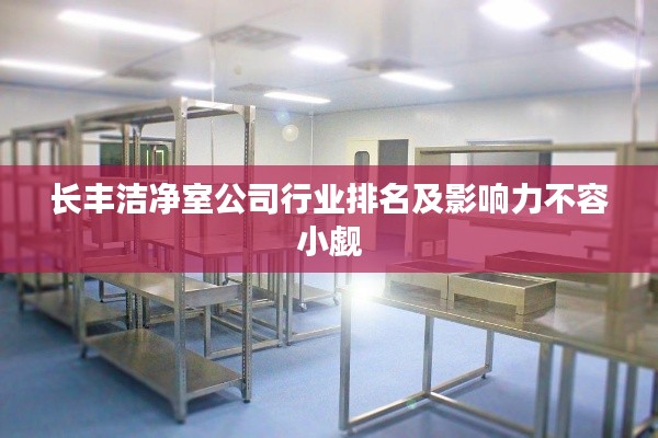 長豐潔凈室公司行業(yè)排名及影響力不容小覷