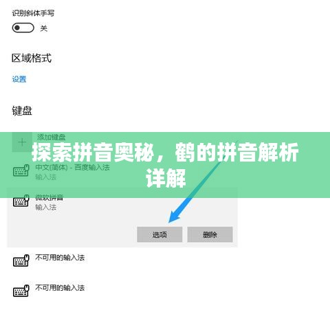 探索拼音奧秘，鶴的拼音解析詳解