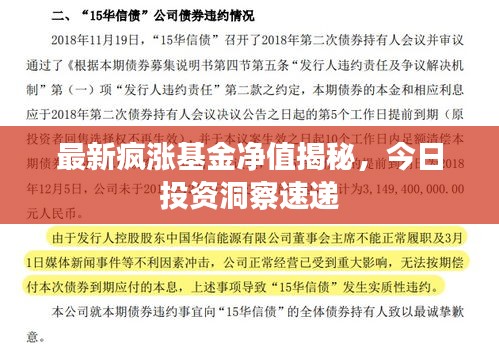 最新瘋漲基金凈值揭秘，今日投資洞察速遞