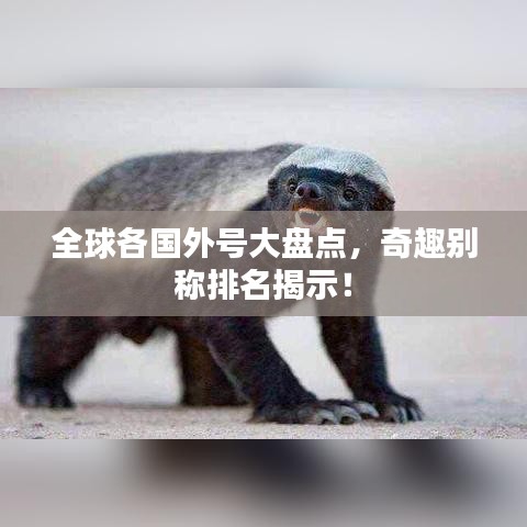全球各國外號大盤點，奇趣別稱排名揭示！
