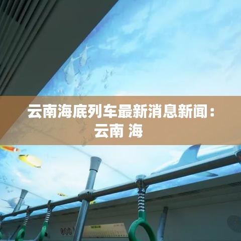 云南海底列車最新消息新聞：云南 海 