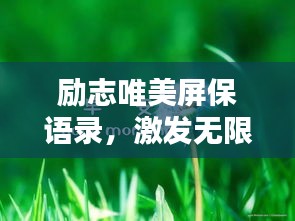 勵志唯美屏保語錄，激發(fā)無限正能量！