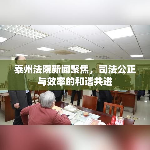 泰州法院新聞聚焦，司法公正與效率的和諧共進(jìn)