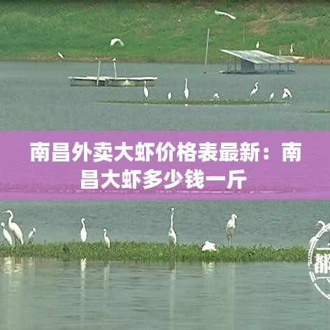 南昌外賣大蝦價(jià)格表最新：南昌大蝦多少錢(qián)一斤 