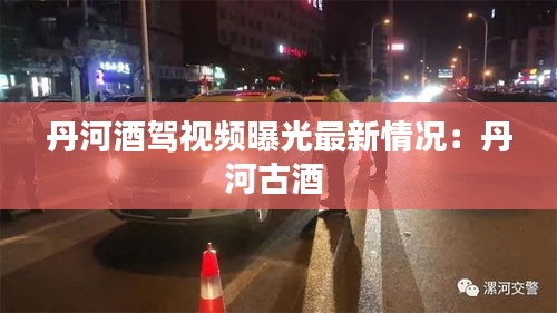 丹河酒駕視頻曝光最新情況：丹河古酒 