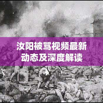 汝陽被罵視頻最新動態(tài)及深度解讀