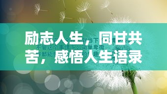 勵志人生，同甘共苦，感悟人生語錄