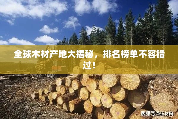 全球木材產(chǎn)地大揭秘，排名榜單不容錯(cuò)過！