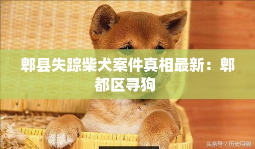郫縣失蹤柴犬案件真相最新：郫都區(qū)尋狗 