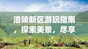 涪陵新區(qū)游玩指南，探索美景，盡享樂趣！
