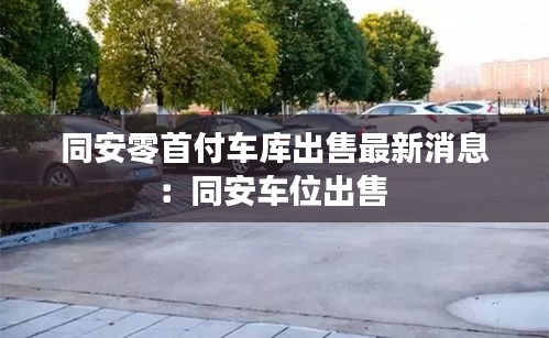 同安零首付車庫出售最新消息：同安車位出售 