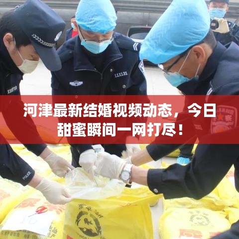 河津最新結(jié)婚視頻動態(tài)，今日甜蜜瞬間一網(wǎng)打盡！