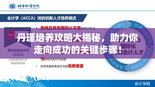 丹瑾培養(yǎng)攻略大揭秘，助力你走向成功的關(guān)鍵步驟！