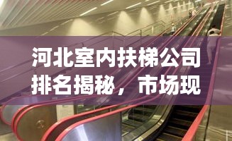 河北室內(nèi)扶梯公司排名揭秘，市場現(xiàn)狀深度解析