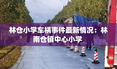 林倉(cāng)小學(xué)車禍?zhǔn)录钚虑闆r：林南倉(cāng)鎮(zhèn)中心小學(xué) 