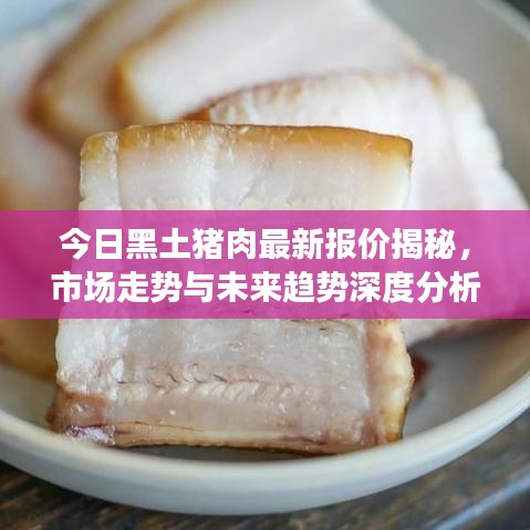 今日黑土豬肉最新報(bào)價(jià)揭秘，市場(chǎng)走勢(shì)與未來(lái)趨勢(shì)深度分析