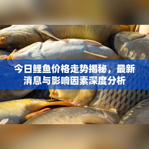鳥啼花落 第2頁