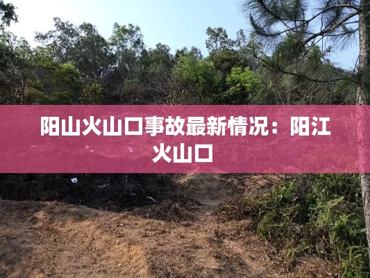 陽山火山口事故最新情況：陽江火山口 