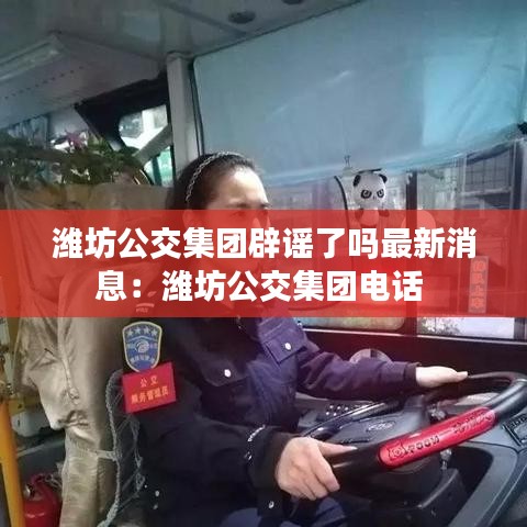 濰坊公交集團辟謠了嗎最新消息：濰坊公交集團電話 