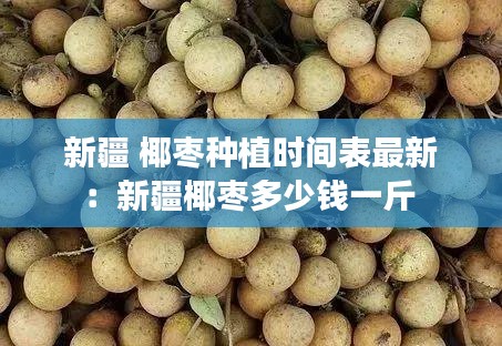 新疆 椰棗種植時(shí)間表最新：新疆椰棗多少錢一斤 