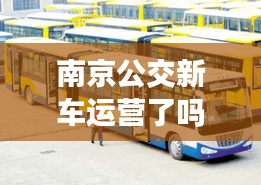 南京公交新車運(yùn)營(yíng)了嗎最新消息：2021南京公交車恢復(fù)狀況 