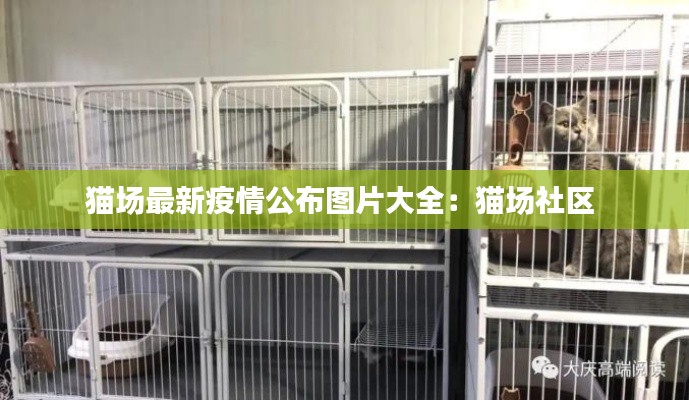貓場(chǎng)最新疫情公布圖片大全：貓場(chǎng)社區(qū) 
