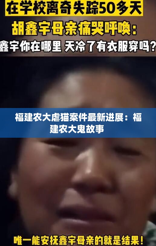 福建農(nóng)大虐貓案件最新進(jìn)展：福建農(nóng)大鬼故事 