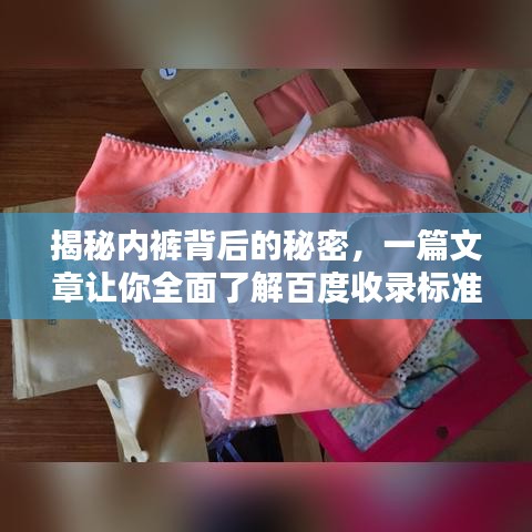 揭秘內(nèi)褲背后的秘密，一篇文章讓你全面了解百度收錄標(biāo)準(zhǔn)下的內(nèi)褲知識