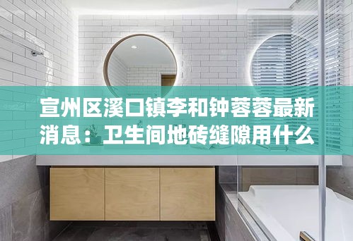 宣州區(qū)溪口鎮(zhèn)李和鐘蓉蓉最新消息：衛(wèi)生間地磚縫隙用什么膠 