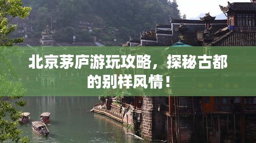 北京茅廬游玩攻略，探秘古都的別樣風情！