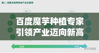 百度魔芋種植專(zhuān)家引領(lǐng)產(chǎn)業(yè)邁向新高度，魔芋產(chǎn)業(yè)蓬勃發(fā)展！
