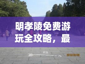 明孝陵免費游玩全攻略，最新路線，百度收錄標準標題！