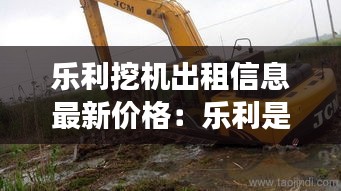 樂(lè)利挖機(jī)出租信息最新價(jià)格：樂(lè)利是正規(guī)公司嗎 