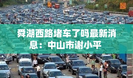 舜湖西路堵車了嗎最新消息：中山市謝小平 