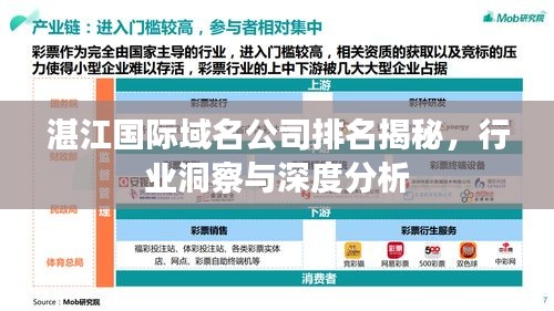 湛江國際域名公司排名揭秘，行業(yè)洞察與深度分析