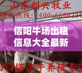 信陽牛場出租信息大全最新：信陽肉牛養(yǎng)殖場 