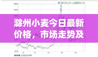 滁州小麥今日最新價格，市場走勢及影響因素深度解析