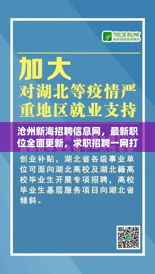 滄州新海招聘信息網(wǎng)，最新職位全面更新，求職招聘一網(wǎng)打盡