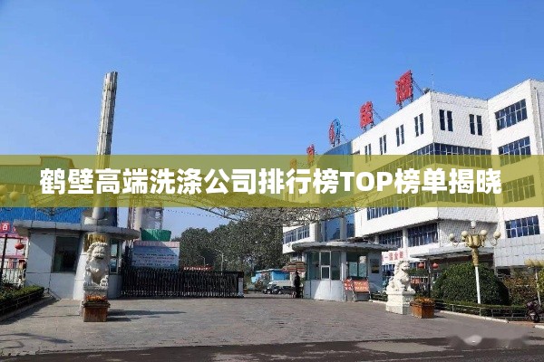 鶴壁高端洗滌公司排行榜TOP榜單揭曉